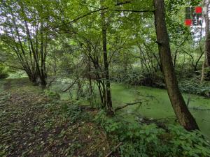 Prodej rodinného domu, Hrádek nad Nisou - Donín, K Rybníku, 250 m2