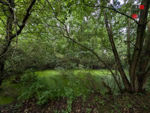 Prodej rodinného domu, Hrádek nad Nisou - Donín, K Rybníku, 250 m2