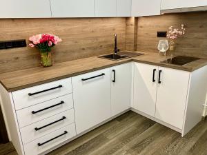 Pronájem bytu 2+kk, Roztoky, Braunerova, 50 m2