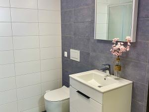 Pronájem bytu 2+kk, Roztoky, Braunerova, 50 m2