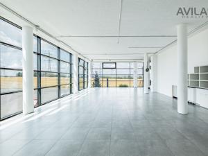 Pronájem obchodního prostoru, Benešov - Pomněnice, 100 m2