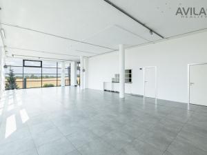 Pronájem obchodního prostoru, Benešov - Pomněnice, 100 m2