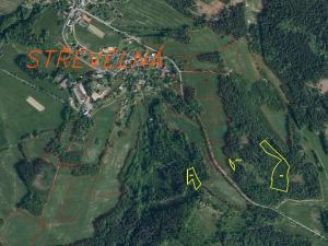 Dražba lesa, Železný Brod, 12622 m2