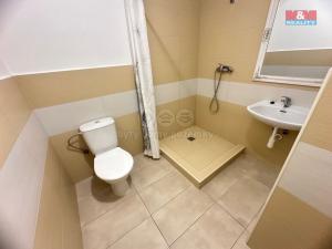 Pronájem bytu 1+kk, Mladá Boleslav, 9. května, 20 m2
