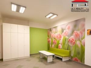 Pronájem ordinace, Brno, Orlí, 113 m2