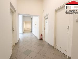 Pronájem ordinace, Brno, Orlí, 113 m2