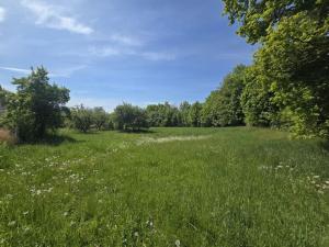 Prodej pozemku pro bydlení, Maršovice, Maršovice, 731 m2