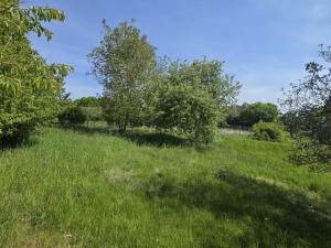 Prodej pozemku pro bydlení, Maršovice, Maršovice, 731 m2