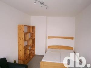 Pronájem bytu 1+1, Karlovy Vary, Nejdlova, 37 m2