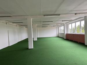Pronájem obchodního prostoru, Polepy, 1200 m2