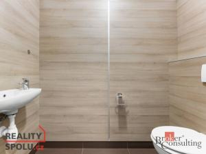 Pronájem bytu 2+kk, Mladá Boleslav, 87 m2