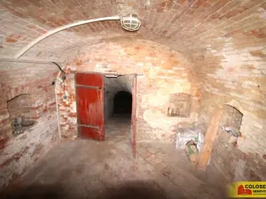 Prodej - jiné, Hrušovany nad Jevišovkou, 36 m2