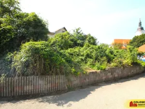 Prodej - jiné, Hrušovany nad Jevišovkou, 36 m2