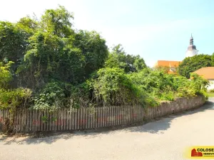 Prodej - jiné, Hrušovany nad Jevišovkou, 36 m2