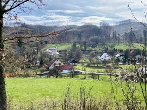 Prodej louky, Rajnochovice, 4851 m2