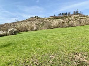 Prodej louky, Rajnochovice, 4851 m2