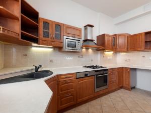 Prodej bytu 5+1, Opava - Předměstí, Otická, 180 m2