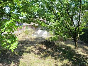 Prodej rodinného domu, Libina - Obědné, 160 m2