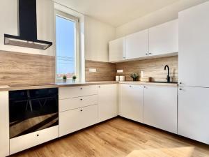 Pronájem bytu 1+kk, Brno, Ondřeje Veselého, 45 m2