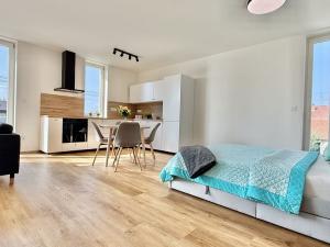 Pronájem bytu 1+kk, Brno, Ondřeje Veselého, 45 m2