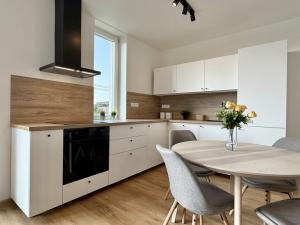 Pronájem bytu 1+kk, Brno, Ondřeje Veselého, 45 m2
