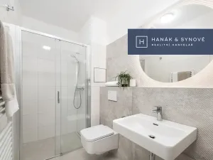 Pronájem bytu 1+kk, Brno, Francouzská, 27 m2