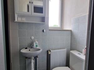 Pronájem bytu 1+kk, Kladruby, Revoluční, 25 m2