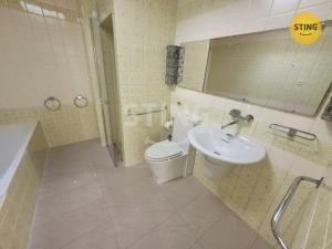Pronájem bytu 1+kk, Opava, Gagarinova, 12 m2