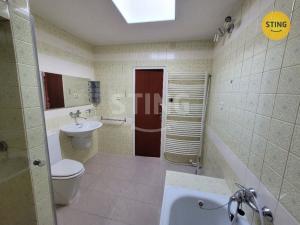 Pronájem bytu 1+kk, Opava, Gagarinova, 12 m2