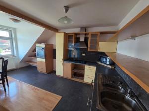 Pronájem bytu 4+kk, Plzeň, Přemyslova, 180 m2