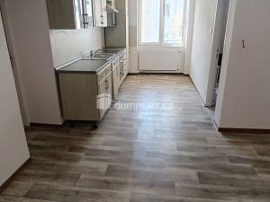 Pronájem bytu 3+1, Děčín - Děčín IV-Podmokly, Prokopa Holého, 120 m2