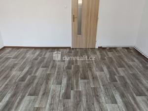 Pronájem bytu 3+1, Děčín - Děčín IV-Podmokly, Prokopa Holého, 120 m2