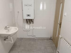 Pronájem bytu 3+1, Děčín - Děčín IV-Podmokly, Prokopa Holého, 120 m2
