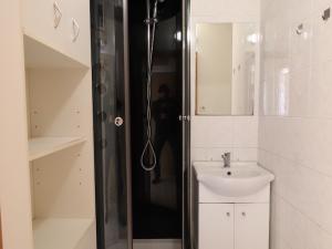 Prodej bytu 1+kk, Hradec Králové - Slezské Předměstí, Polní, 28 m2