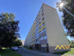 Prodej bytu 1+kk, Hradec Králové - Slezské Předměstí, Polní, 28 m2