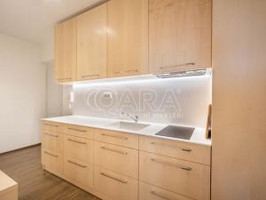 Pronájem bytu 1+kk, Praha, Biskupcova, 53 m2