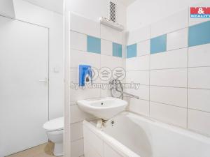 Pronájem bytu 4+1, Ústí nad Labem - Střekov, Nová, 81 m2