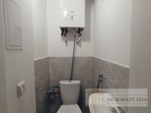 Pronájem bytu 3+1, Praha - Vinohrady, Koubkova, 80 m2