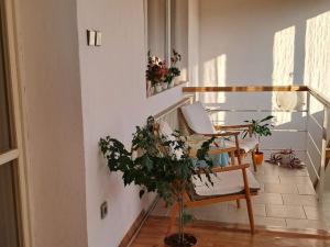 Prodej rodinného domu, Kralice nad Oslavou, Brněnská, 262 m2