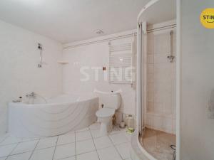 Prodej rodinného domu, Větřkovice, 497 m2