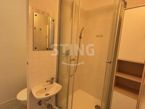 Pronájem bytu 1+1, Frýdek-Místek, 40 m2
