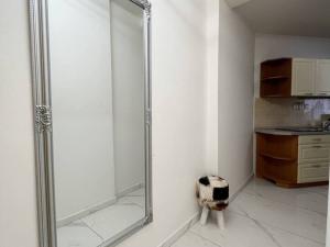 Pronájem bytu 1+kk, Praha - Žižkov, Cimburkova, 31 m2