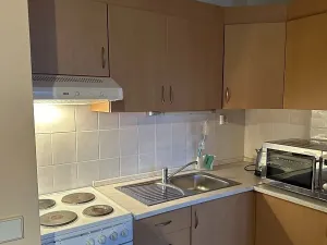 Pronájem bytu 1+kk, Plzeň, Sedlecká, 45 m2