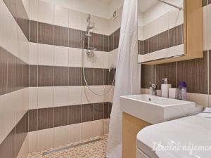 Pronájem bytu 2+kk, Brno, Velkopavlovická, 44 m2