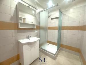 Pronájem bytu 2+1, Mladá Boleslav, 17. listopadu, 60 m2