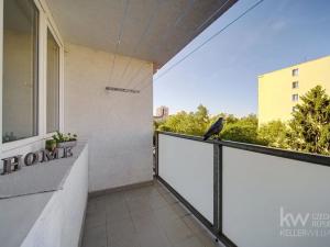 Prodej bytu 2+1, Plzeň, Luďka Pika, 62 m2