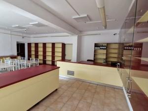 Prodej obchodního prostoru, Slatinice, 550 m2