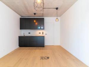 Pronájem bytu 1+kk, Brno, Bratislavská, 28 m2