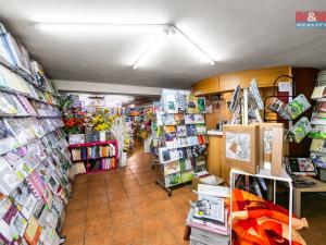 Pronájem obchodního prostoru, Domažlice - Dolejší Předměstí, Husova třída, 600 m2