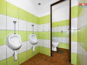 Pronájem obchodního prostoru, Domažlice - Dolejší Předměstí, Husova třída, 600 m2